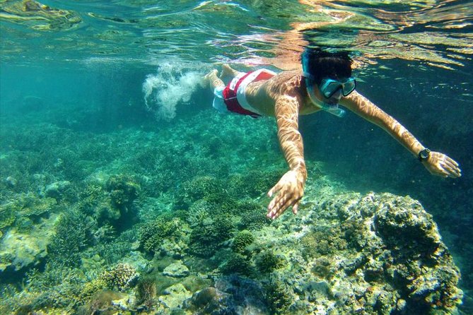 All INCLUSIVE Bali Snorkeling at Blue Lagoon and Tanjung Jepun - Snorkeling Experience Details
