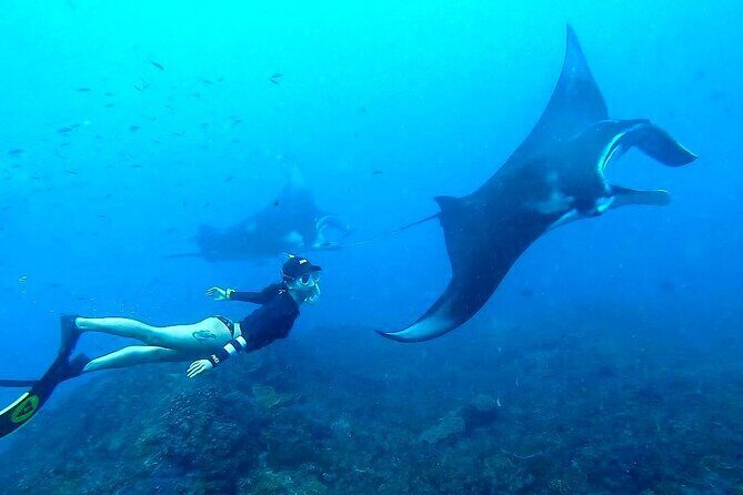 All-Inclusive Bali to Nusa Penida Tour and Manta Snorkeling - The Journey Begins: Seamless Pickup and Fast Boat Transfer