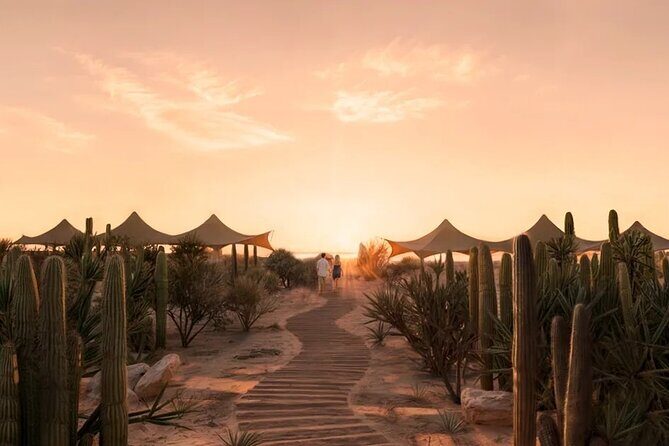 All inclusive Beach and Kids Adventure Park Experience - The Experience Breakdown: What’s in Store at Tierra Sagrada