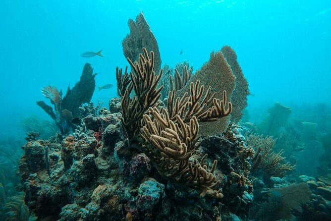 All Inclusive Beach and Snorkel Boat Tour to Icacos Island - The Sum Up