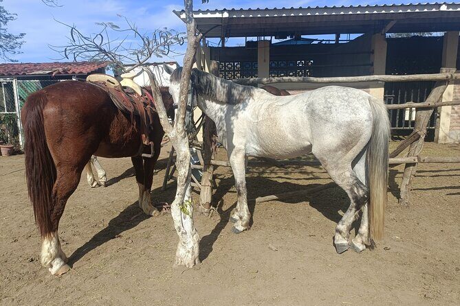 All Inclusive Beach Club, Water Sports, Horse Ride, Food & Drinks - FAQs