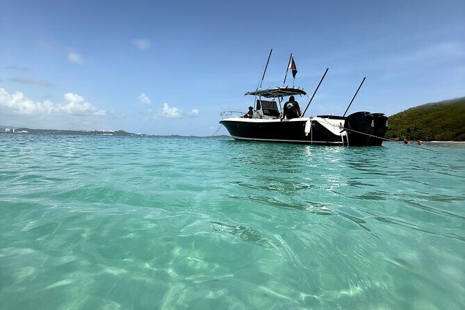 All Inclusive Beach & Snorkeling Tour at Icacos & Palomino Island - Authenticity and Insider Insights