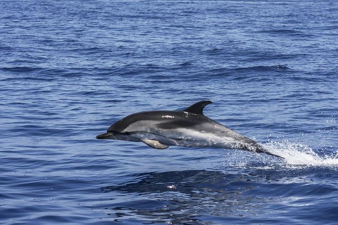 All Inclusive Boat Trip From Alanya - Common Questions