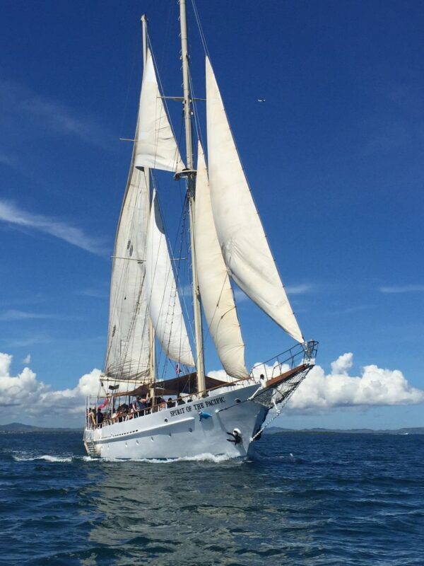 All Inclusive Captain Cook Cruises Island and Reef Day Sail - Setting sail from Port Denarau at 10am