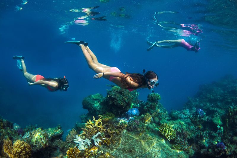 All Inclusive Captain Cook Cruises Island and Reef Day Sail - Marine-biologist talks and the Build a Reef activity