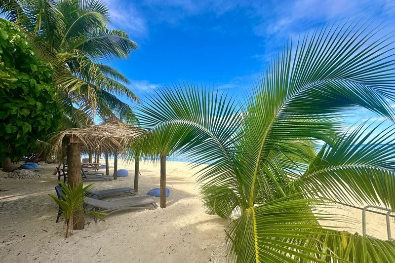 All Inclusive Captain Cook Cruises Island and Reef Day Sail - Fijian entertainment and the crew