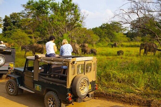 All-inclusive Central Sri Lanka Three Days Tour - A Deep Dive into the Experience