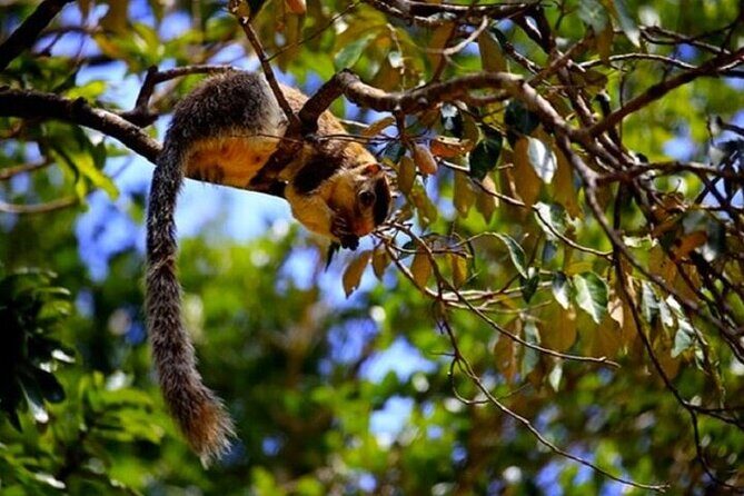 All-inclusive Central Sri Lanka Three Days Tour - Who Would Love This Tour?