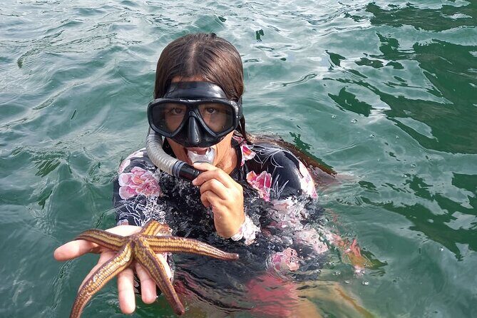 All-inclusive Colomitos cruise and Animas beach snorkeling - Detailed Review of the Tour