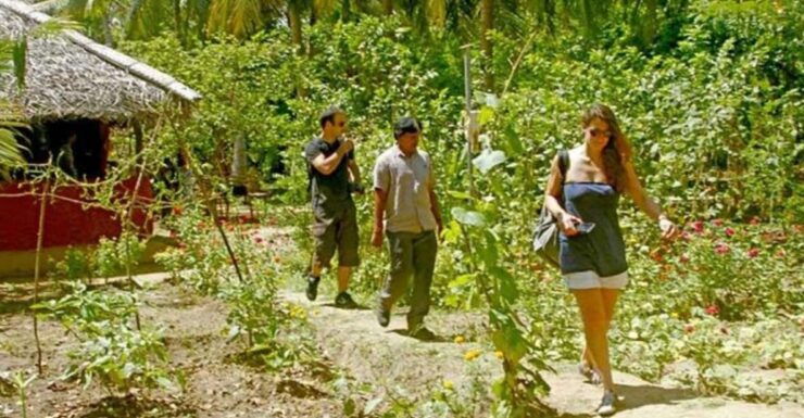 All-Inclusive Dambulla Village Tour With Traditional Lunch - Activity Highlights