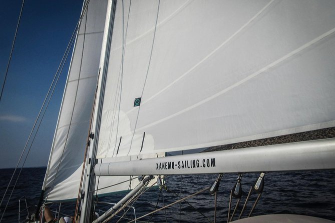 All Inclusive Day Sailing Tour From Naxos to the Small Cyclades - Overview and Activities