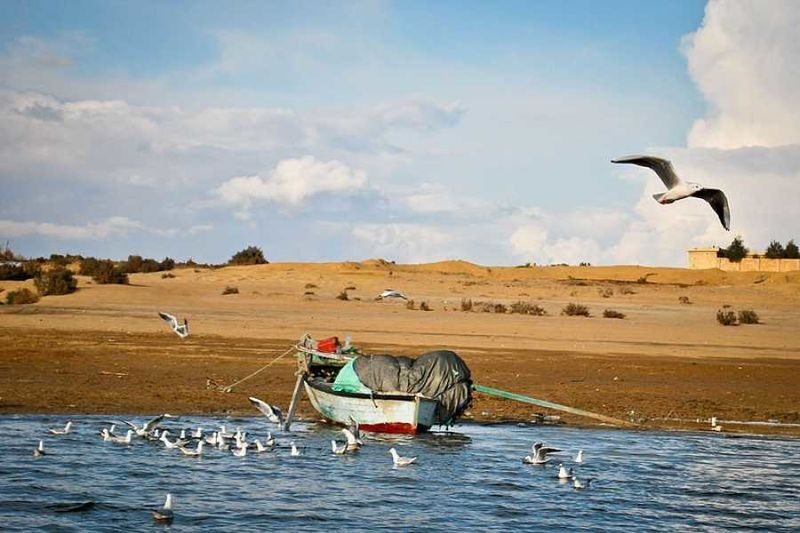 All inclusive- Day Tour to El Fayoum from Cairo - Tunis Village: lunch and a glimpse of local life