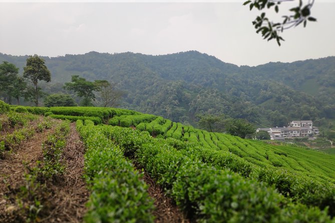 All-Inclusive Day Tour to Hangzhou by Bullet Train - Travel Logistics