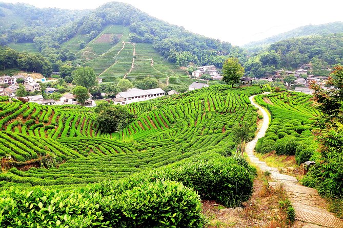 All-Inclusive Day Tour to Hangzhou by Bullet Train - Booking Information