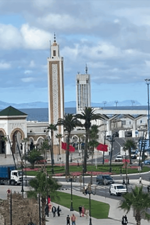 All-Inclusive Day Trip From Cádiz to Tangier, Morocco - Transportation and Logistics