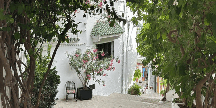 All-Inclusive Day Trip From Cádiz to Tangier, Morocco - Common Questions