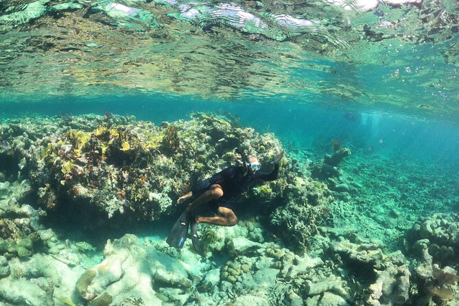 All-Inclusive Day-Trip From Nassau to Andros Bahamas - Cancellation Policy Details