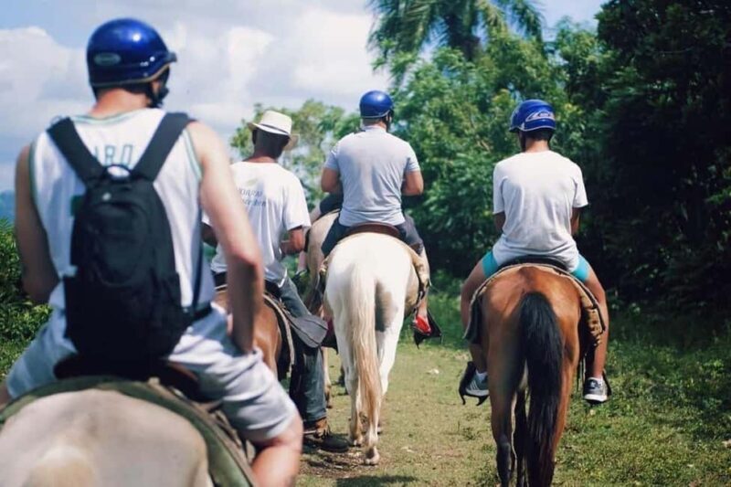 All-Inclusive Day Trip from Punta Cana: DR Culture Immersion - A Deep Dive into the Experience