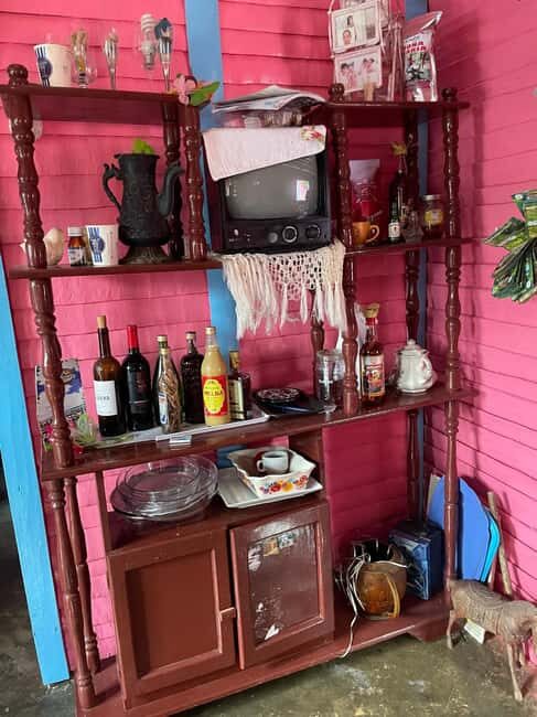 All-Inclusive Day Trip from Punta Cana: DR Culture Immersion - Final Thoughts