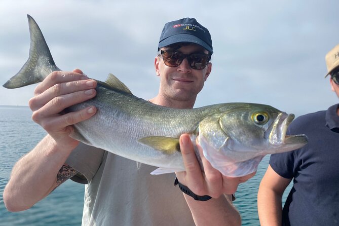 All Inclusive Fishing Excursion From Alicante - Experience and Activities