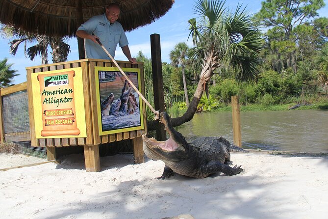 All Inclusive Florida Everglades Airboat Tour Wild Florida Day With Transport - Inclusions and Experiences