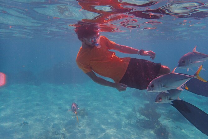 All-Inclusive Full-Day Hol Chan Snorkeling Tour - Inclusions