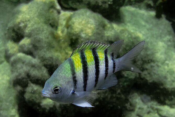 All-Inclusive Full-Day Private Boat Tour with Lunch & Drinks - Final Thoughts