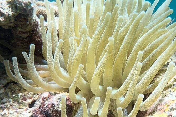 All-Inclusive Full-Day Private Boat Tour with Lunch & Drinks - FAQ