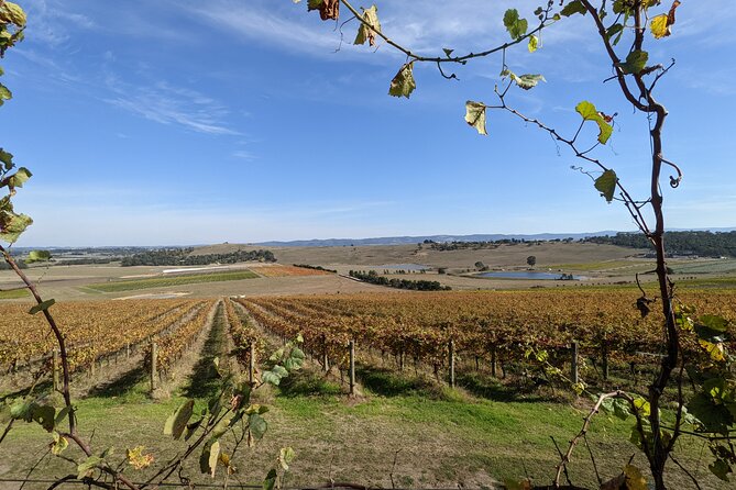 All Inclusive Full Day Private Limousine Wine Tour - Uncorked Peninsula - Directions to the Tour Location