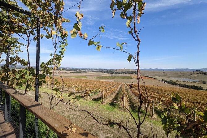 All Inclusive Full Day Private Wine Tour - Tastes of the Yarra Valley - Common Questions