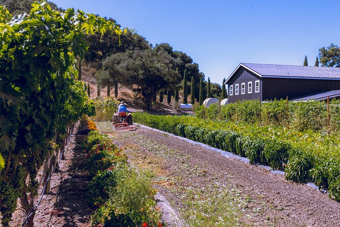 All-Inclusive Full-Day Wine Tasting Tour From Santa Barbara - Inclusions