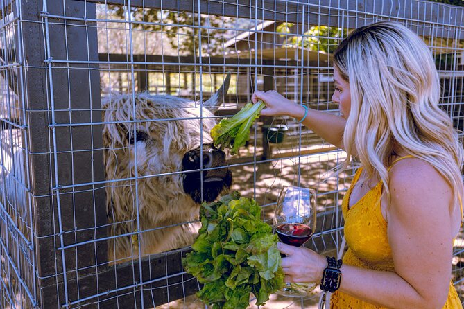 All-Inclusive Full-Day Wine Tasting Tour From Santa Barbara - Tour Experience and Highlights