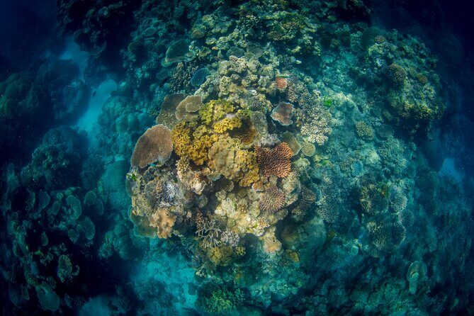 All Inclusive Great Barrier Reef Cruise w optional Scuba Diving - The Vessel & Facilities