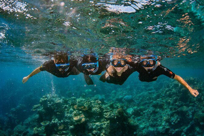 All Inclusive Great Barrier Reef Cruise w optional Scuba Diving - The Sum Up