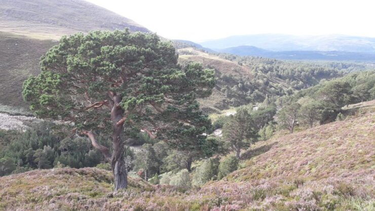 All Inclusive Guided Bikepacking Trip. - Activity Details