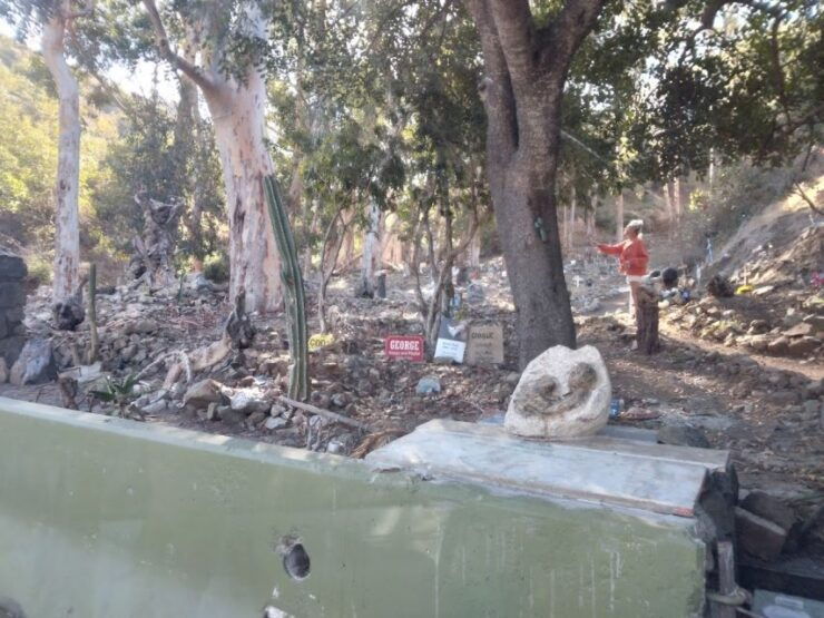 All-Inclusive Guided Tour of Catalina Island From Orange Co - Ferry Ride to Santa Catalina Island