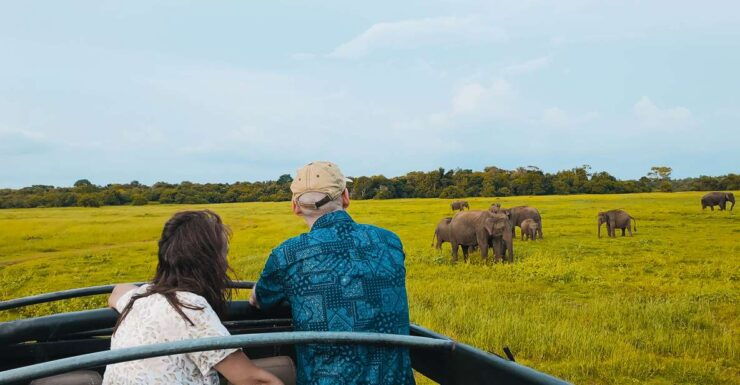 All-Inclusive Habarana Galoya Eco Park Privet Halfday Safari - Activity Details
