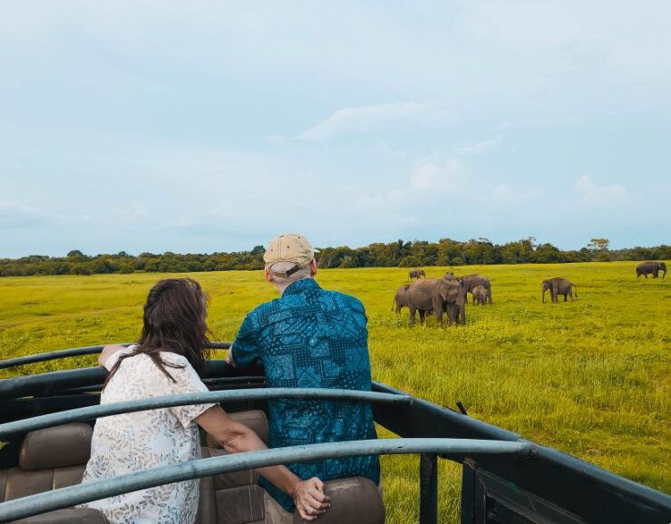 All-Inclusive Habarana Galoya Eco Park Privet Halfday Safari - Experience Highlights