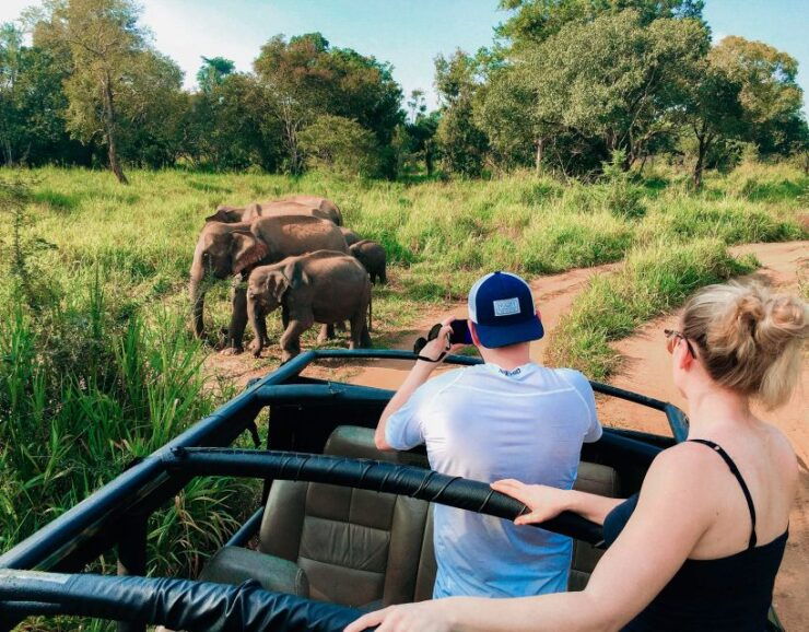 All-Inclusive Habarana Hurulu Eco Park Privet Halfday Safari - Hurulu Forest Reserve Activities