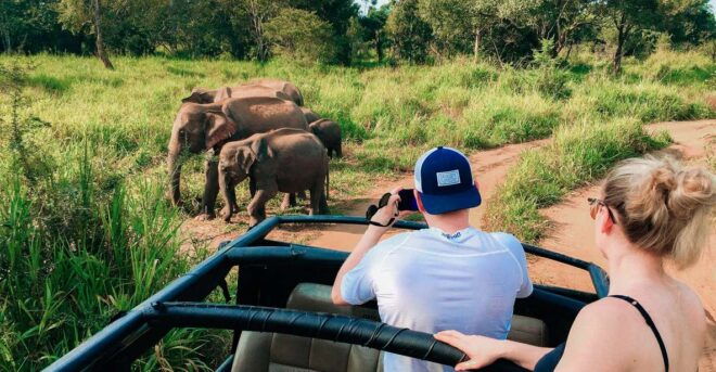 All-Inclusive Habarana Hurulu Eco Park Privet Halfday Safari - Extra Fee
