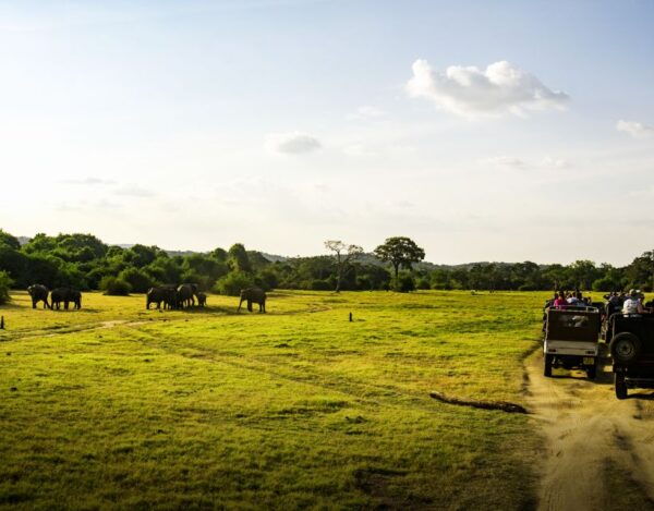 All-Inclusive Habarana Hurulu Eco Park Privet Halfday Safari - Directions