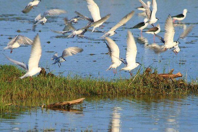 All Inclusive Half Day Private Safari at Bundala National Park - Practical Tips for Your Trip