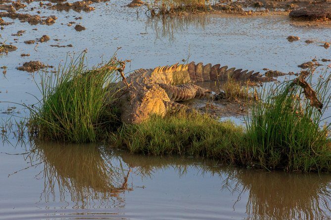 All Inclusive Half Day Private Safari at Bundala National Park - Frequently Asked Questions