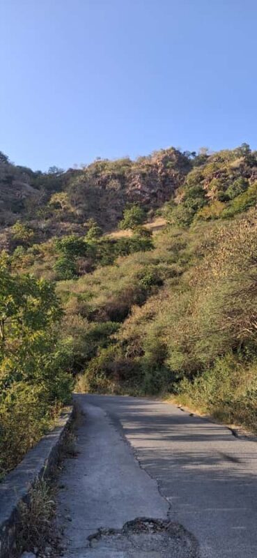 All Inclusive Hiking Experience at Monsoon Palace - Final Thoughts: Is This Tour Right for You?  