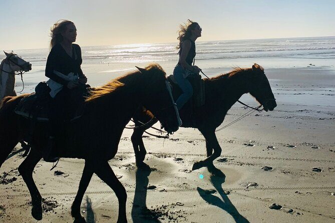 All-Inclusive Horseback Riding on the Beach in Mexico - Introduction: A Unique Beach Horseback Riding Experience in Mexico