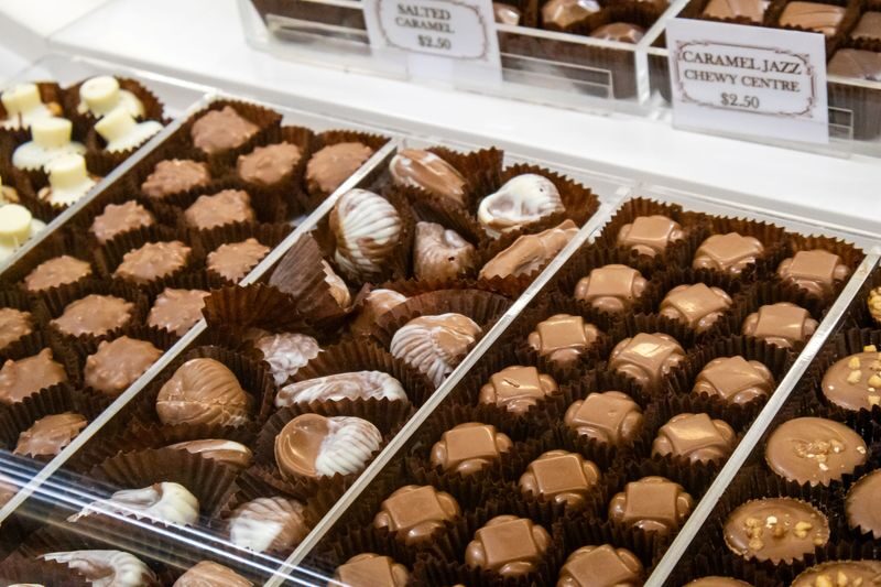 All Inclusive Hunter Valley Wine, Chocolate Tasting and Lunch Tour - The guide and transport can shape the day
