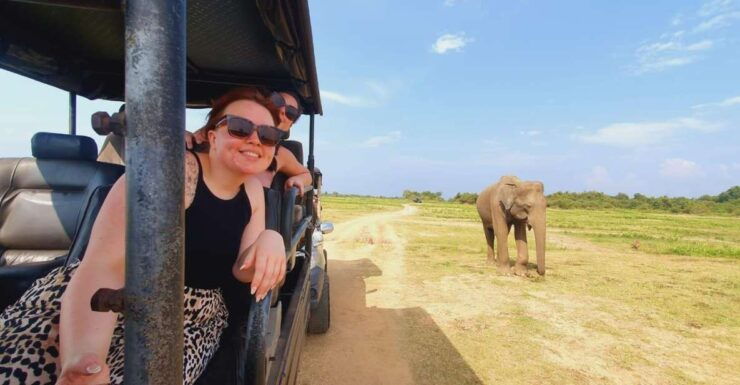 All Inclusive Hurulu Eco National Park Half Day Jeep Safari - Experience