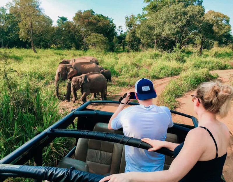 All Inclusive Hurulu Eco Park 3 Hour Elephant Safari Tour - Good To Know