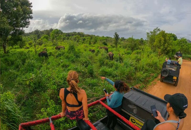 All Inclusive Hurulu Eco Park 3 Hour Elephant Safari Tour - FAQ