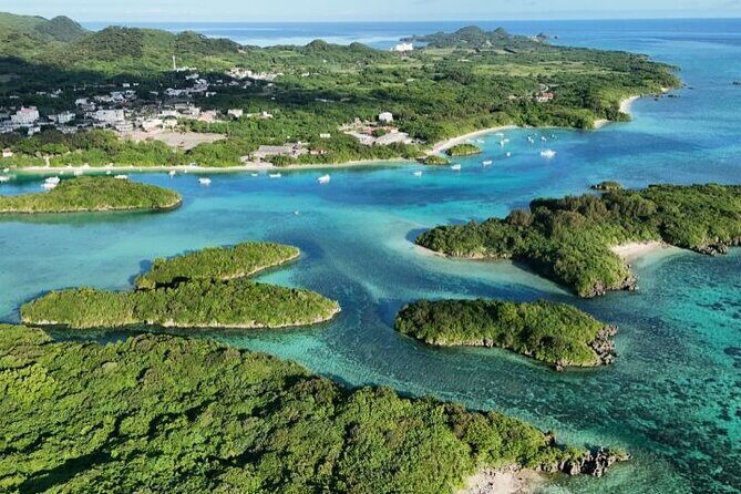 All-Inclusive Ishigaki Island Shore Excursion with English Guide - Good To Know